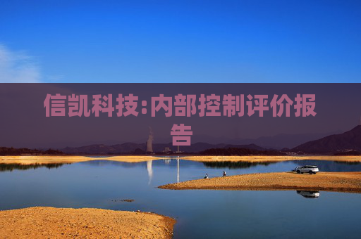 信凯科技:内部控制评价报告