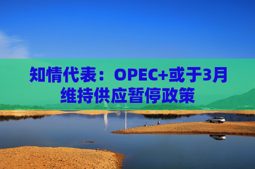 知情代表：OPEC+或于3月维持供应暂停政策