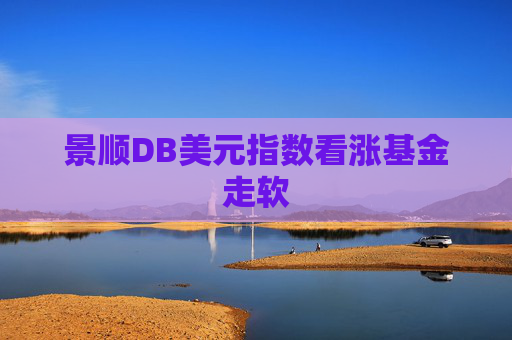 景顺DB美元指数看涨基金走软
