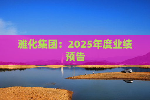 雅化集团：2025年度业绩预告