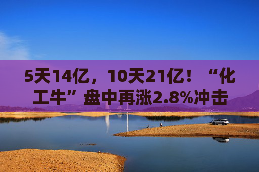 5天14亿，10天21亿！“化工牛”盘中再涨2.8%冲击新高，资金抢筹大提速