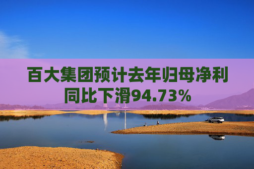 百大集团预计去年归母净利同比下滑94.73%