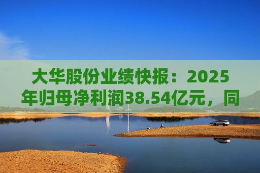 大华股份业绩快报：2025年归母净利润38.54亿元，同比增长32.65%