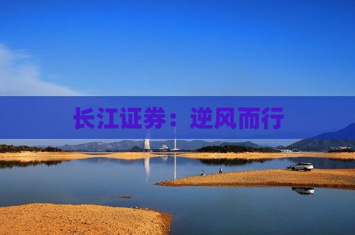 长江证券：逆风而行