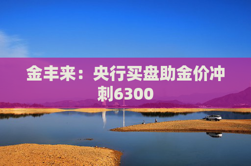 金丰来：央行买盘助金价冲刺6300