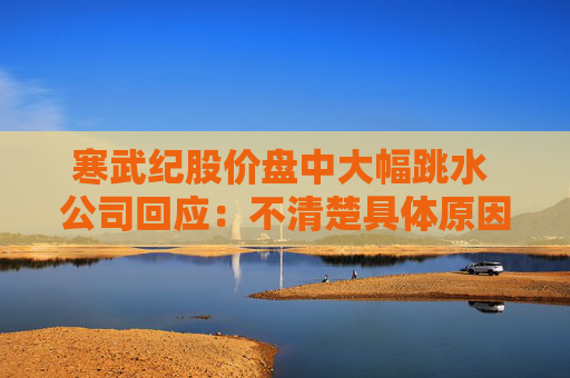 寒武纪股价盘中大幅跳水 公司回应：不清楚具体原因，市场很多传闻都是假的