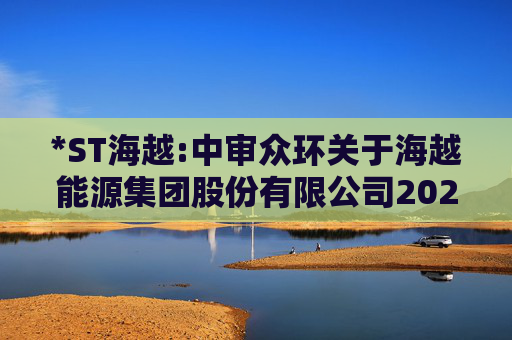 *ST海越:中审众环关于海越能源集团股份有限公司2024年财务报表第二次审计阶段性情况说明  第1张
