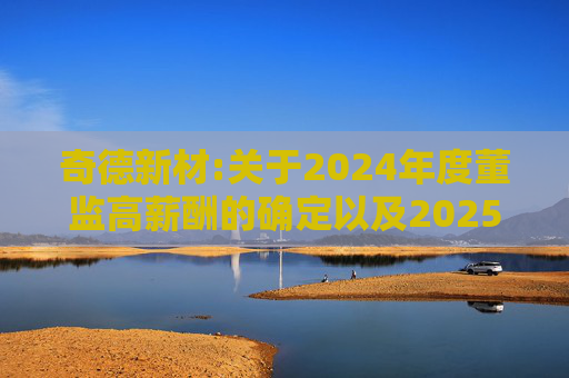 奇德新材:关于2024年度董监高薪酬的确定以及2025年度董监高薪酬方案的公告  第1张