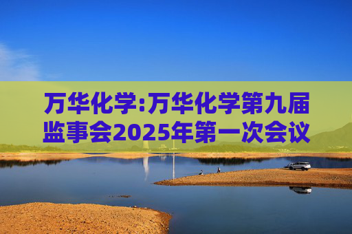 万华化学:万华化学第九届监事会2025年第一次会议决议公告  第1张