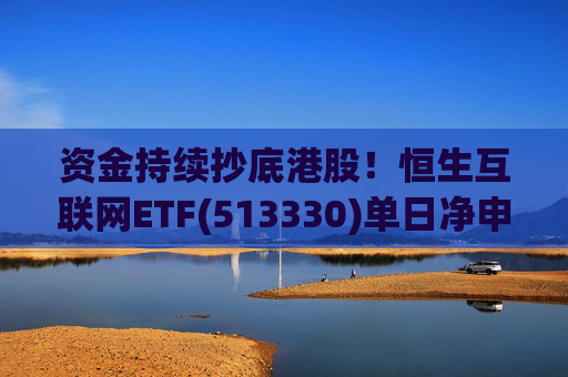 资金持续抄底港股！恒生互联网ETF(513330)单日净申购17.68亿份，规模最大的恒生科技指数ETF(513180)去年10月以来“吸金”146亿