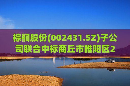 棕榈股份(002431.SZ)子公司联合中标商丘市睢阳区2025年高标准农田建设项目