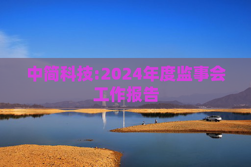 中简科技:2024年度监事会工作报告