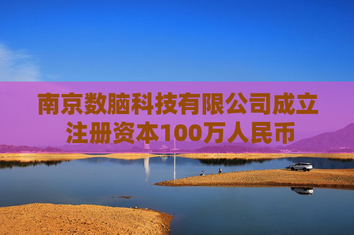 南京数脑科技有限公司成立 注册资本100万人民币