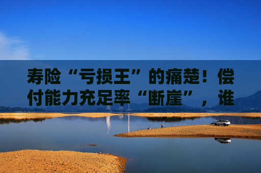 寿险“亏损王”的痛楚！偿付能力充足率“断崖”，谁惹的祸？