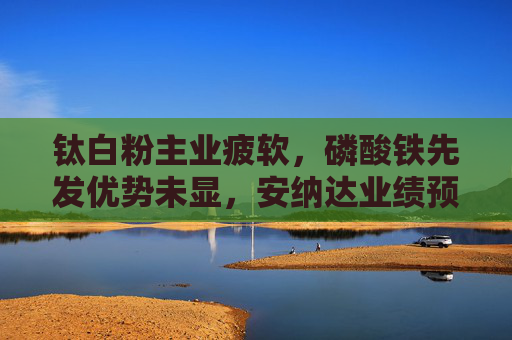 钛白粉主业疲软，磷酸铁先发优势未显，安纳达业绩预亏创近十年新低