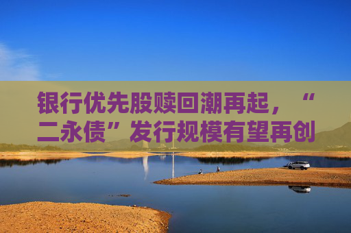 银行优先股赎回潮再起，“二永债”发行规模有望再创新高  第1张