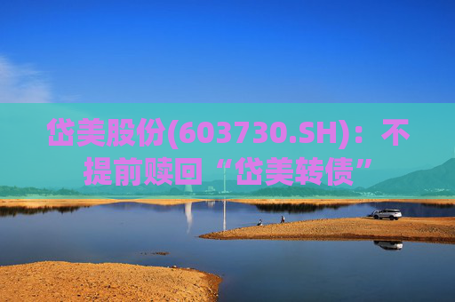 岱美股份(603730.SH)：不提前赎回“岱美转债”