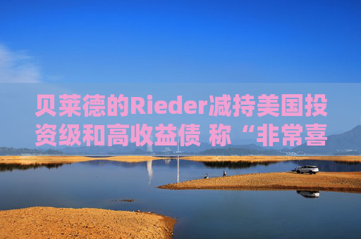 贝莱德的Rieder减持美国投资级和高收益债 称“非常喜欢”新兴市场