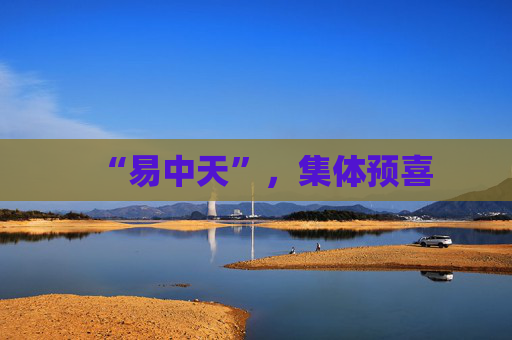 “易中天”，集体预喜