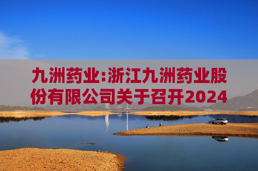 九洲药业:浙江九洲药业股份有限公司关于召开2024年度暨2025年第一季度业绩说明会的公告  第1张
