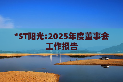 *ST阳光:2025年度董事会工作报告