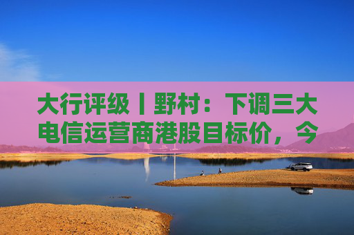 大行评级丨野村：下调三大电信运营商港股目标价，今年展望具挑战性