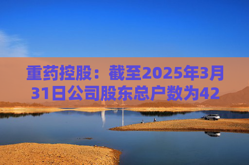 重药控股：截至2025年3月31日公司股东总户数为42989户  第1张