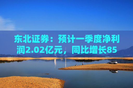 东北证券：预计一季度净利润2.02亿元，同比增长859.84%  第1张