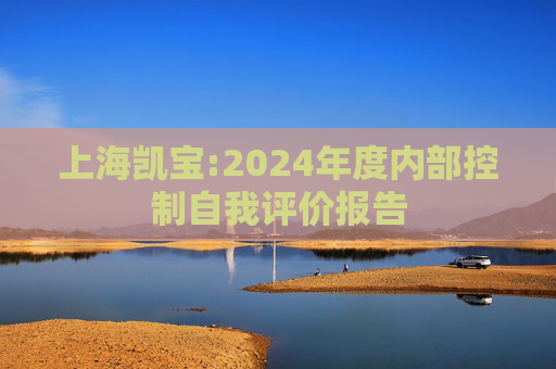 上海凯宝:2024年度内部控制自我评价报告