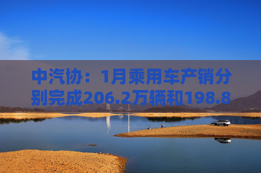 中汽协：1月乘用车产销分别完成206.2万辆和198.8万辆 同比分别下降4.1%和6.8%