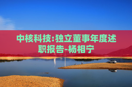 中核科技:独立董事年度述职报告-杨相宁  第1张