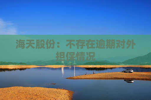 海天股份：不存在逾期对外担保情况