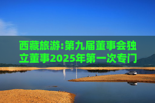 西藏旅游:第九届董事会独立董事2025年第一次专门会议决议