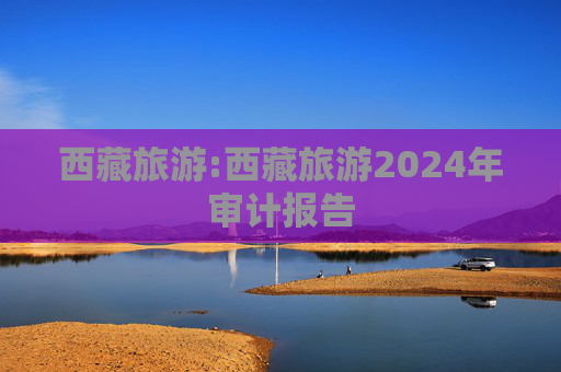西藏旅游:西藏旅游2024年审计报告