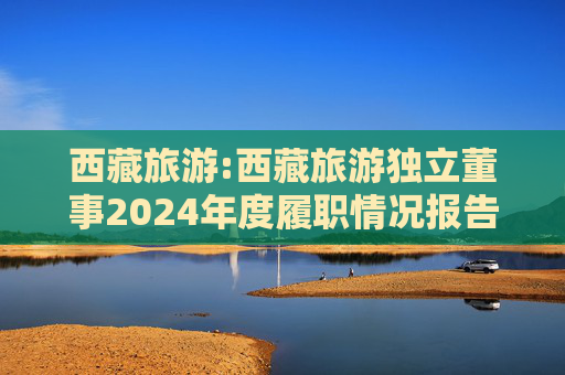 西藏旅游:西藏旅游独立董事2024年度履职情况报告（张润钢）