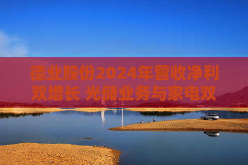 德业股份2024年营收净利双增长 光储业务与家电双轮驱动发力