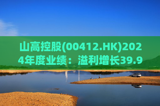 山高控股(00412.HK)2024年度业绩：溢利增长39.92%至6.93亿元，聚焦电算科技赛道  第1张