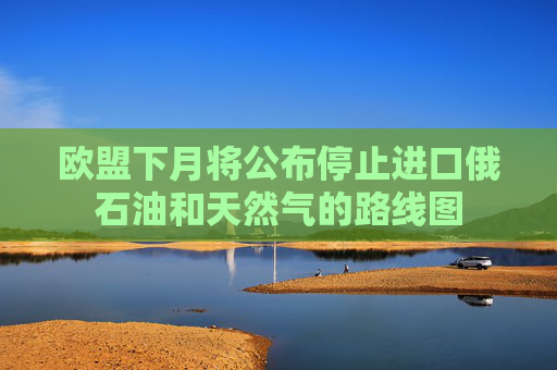 欧盟下月将公布停止进口俄石油和天然气的路线图