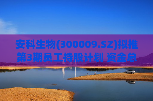 安科生物(300009.SZ)拟推第3期员工持股计划 资金总额不超1131.38万元  第1张