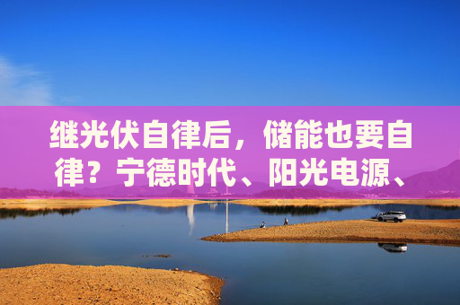 继光伏自律后，储能也要自律？宁德时代、阳光电源、华为、中车等20余巨头闭门酝酿倡议：防止内卷式恶性竞争