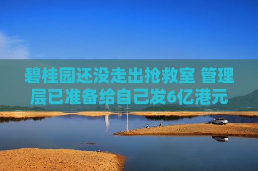 碧桂园还没走出抢救室 管理层已准备给自己发6亿港元激励