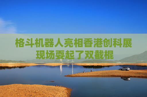 格斗机器人亮相香港创科展 现场耍起了双截棍