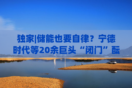独家|储能也要自律？宁德时代等20余巨头“闭门”酝酿倡议