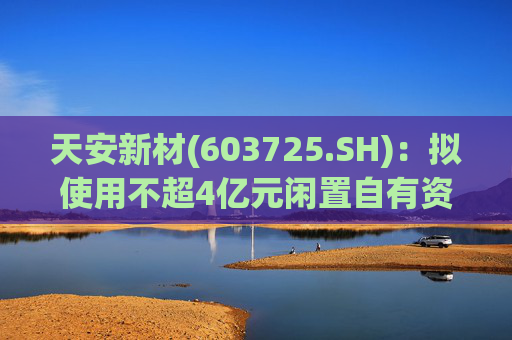 天安新材(603725.SH)：拟使用不超4亿元闲置自有资金进行现金管理
