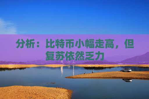 分析：比特币小幅走高，但复苏依然乏力