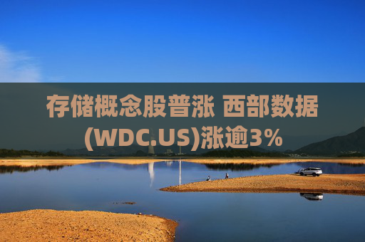 存储概念股普涨 西部数据(WDC.US)涨逾3%