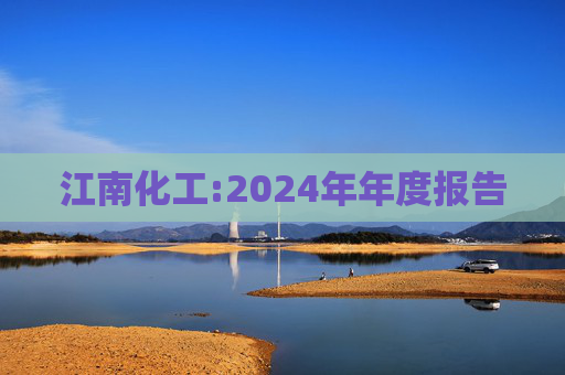 江南化工:2024年年度报告  第1张