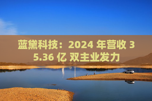 蓝黛科技：2024 年营收 35.36 亿 双主业发力