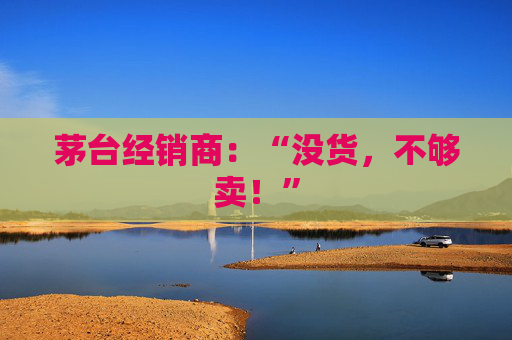 茅台经销商：“没货，不够卖！”