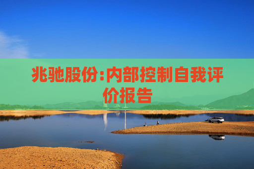 兆驰股份:内部控制自我评价报告  第1张